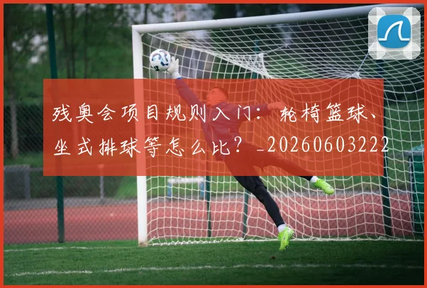 残奥会项目规则入门：轮椅篮球、坐式排球等怎么比？_20260603222626
